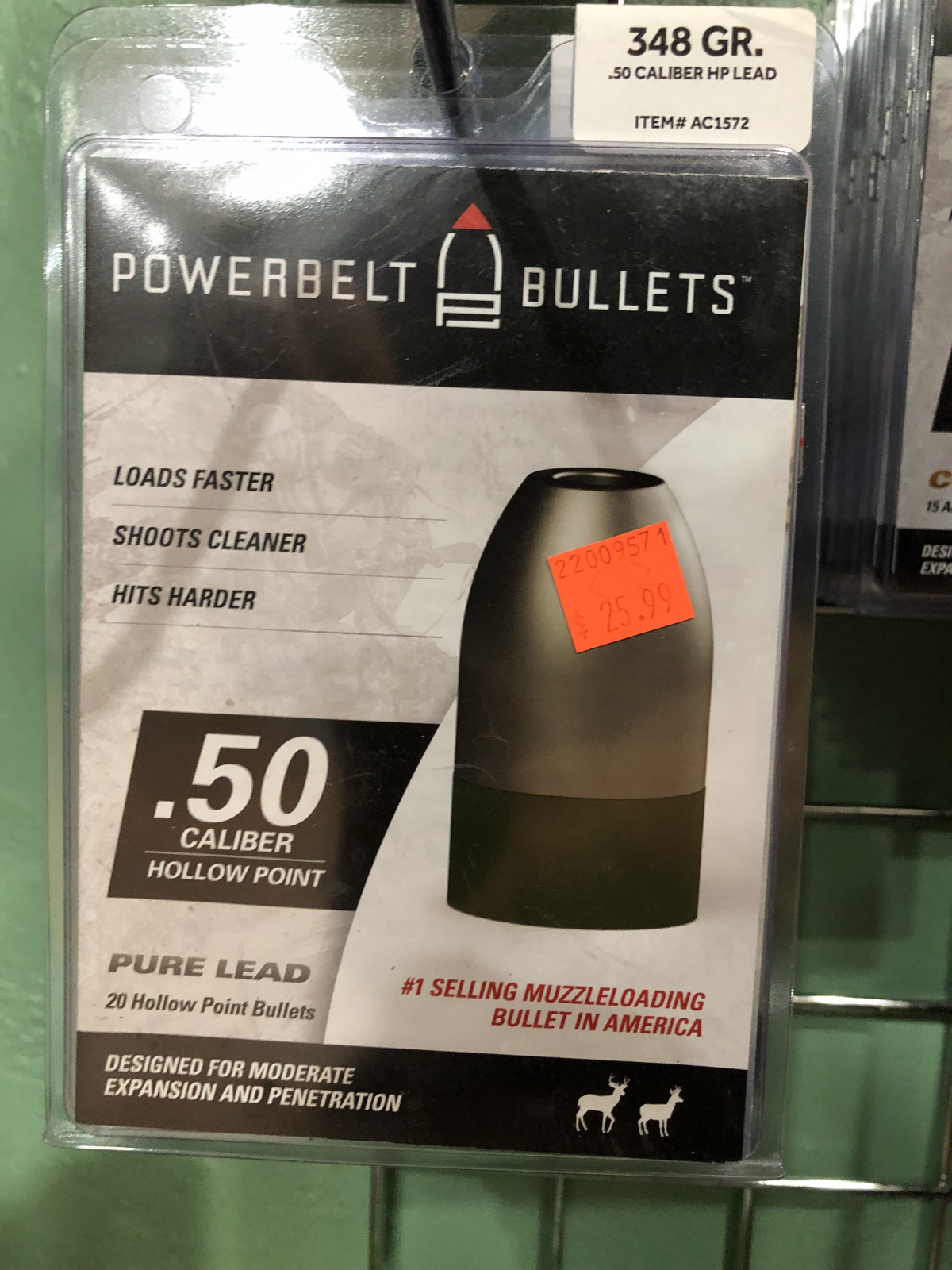 PowerBelt .50cal HP lead 348gr